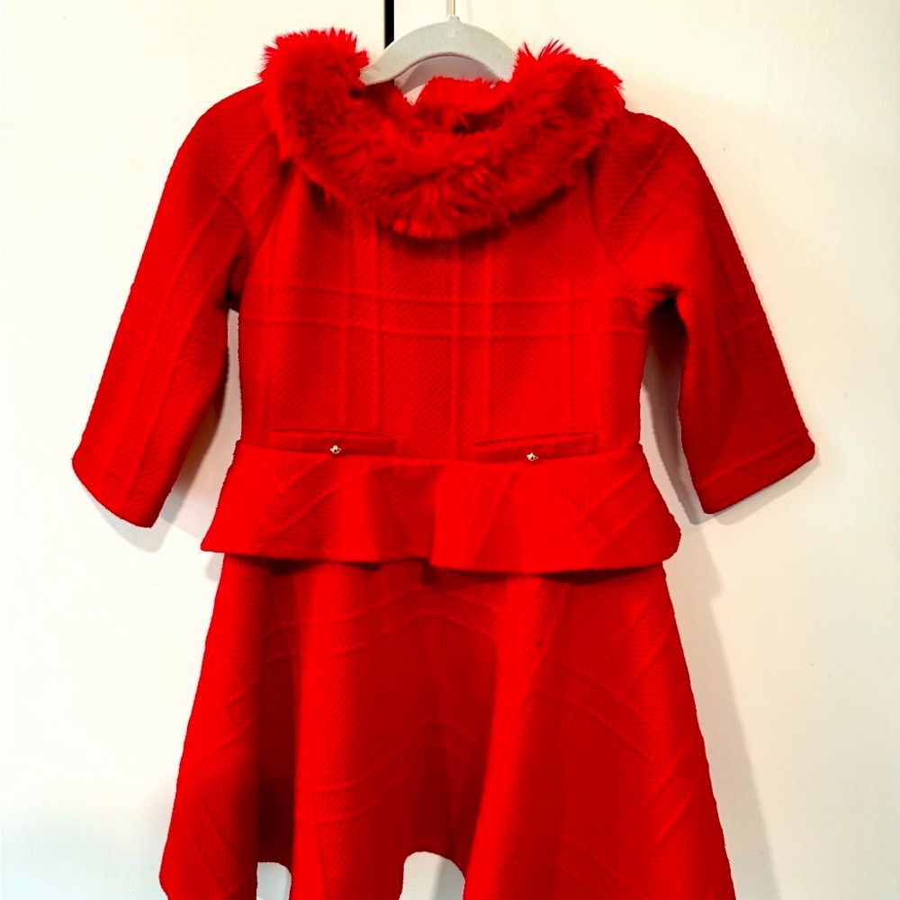 Janie and Jack Plush Holiday Dress